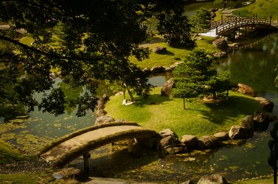 🌳 작은 연못 공원(코이케코엔)